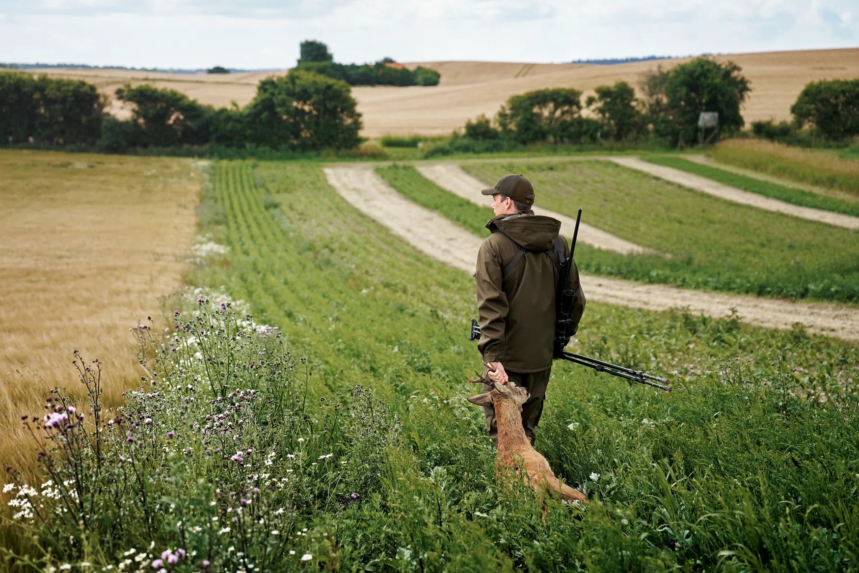 Geaca Härkila Finnmark HWS