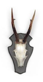 Panoplie Caprior 22x13cm, din stejar, Eurohunt, culoare inchisa