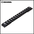 Sina picatinny Recknagel, Sauer 202 Magnum