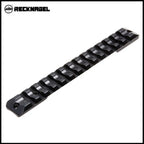 Sina picatinny Recknagel, Sauer 202 Magnum
