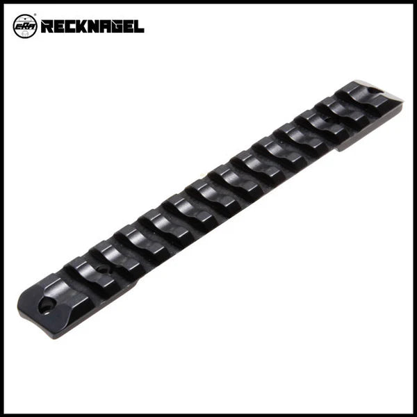 Sina picatinny Recknagel, Sauer 202 Magnum