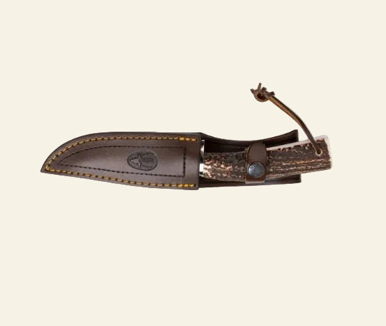 Cutit Muela Pointer-13A