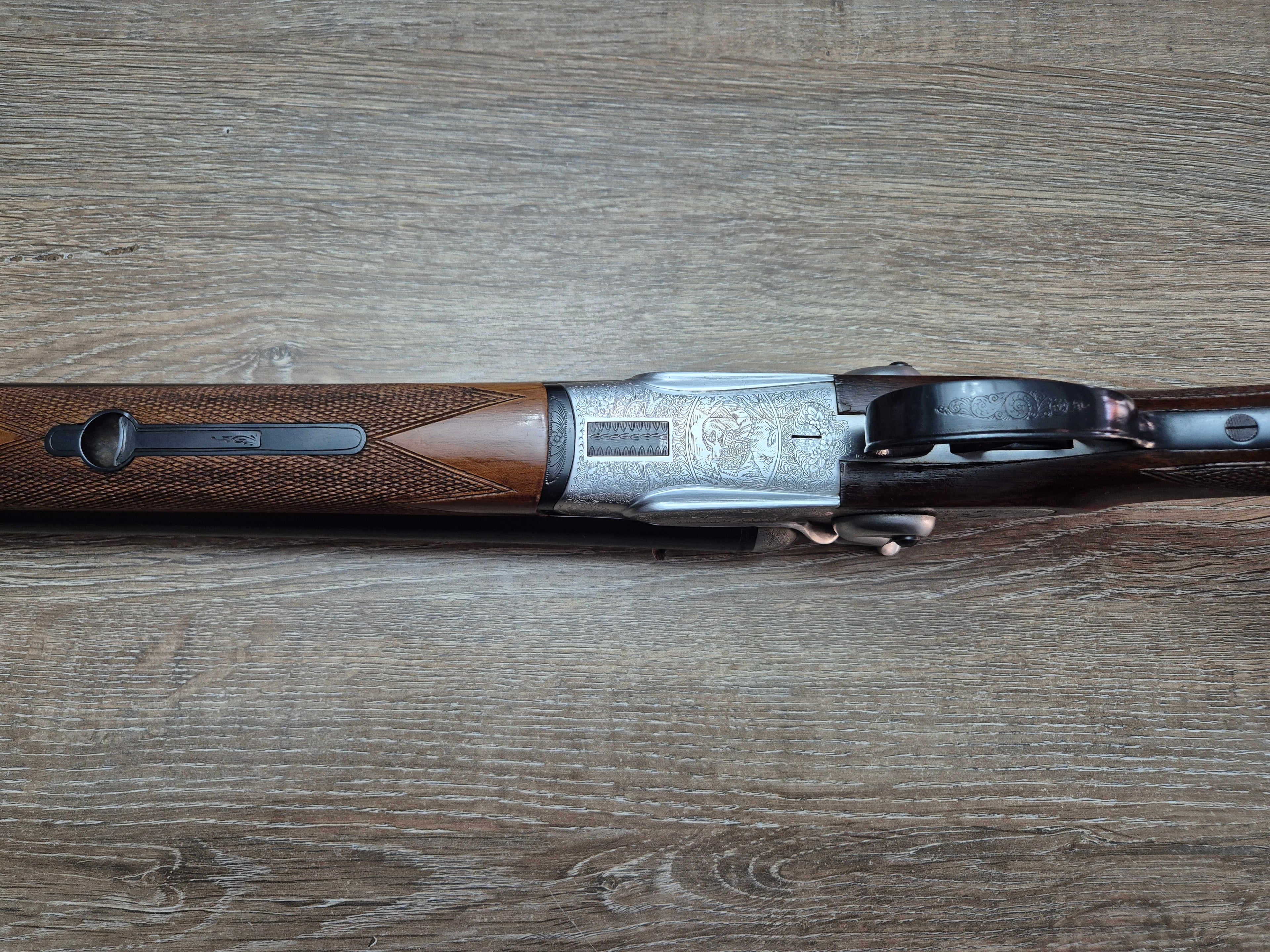 Lisa Siace, cal 12, tevi 71cm, cocoase exterioare