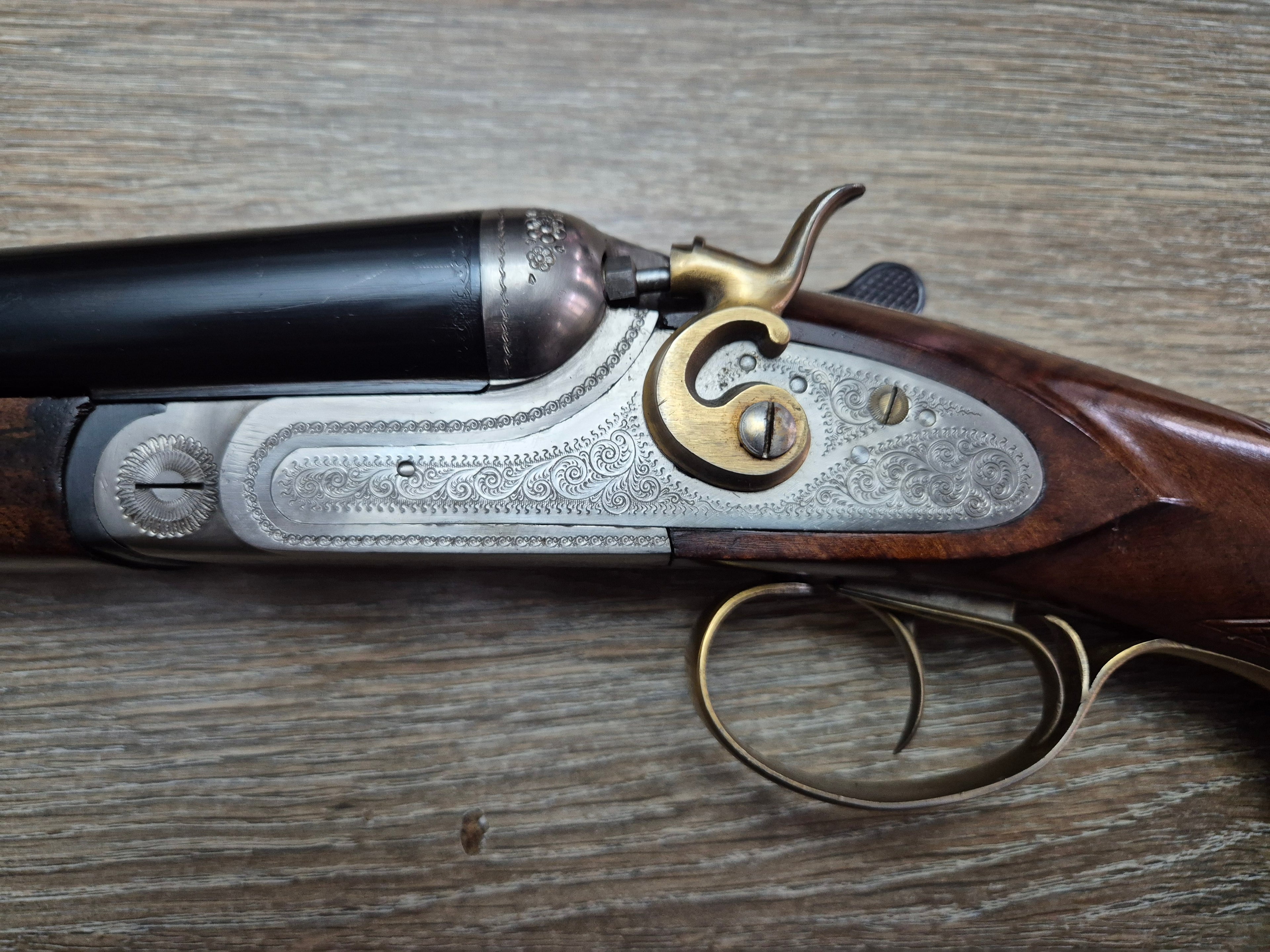 Lisa Eibar, cal 12, tevi 71cm, cocoase exterioare