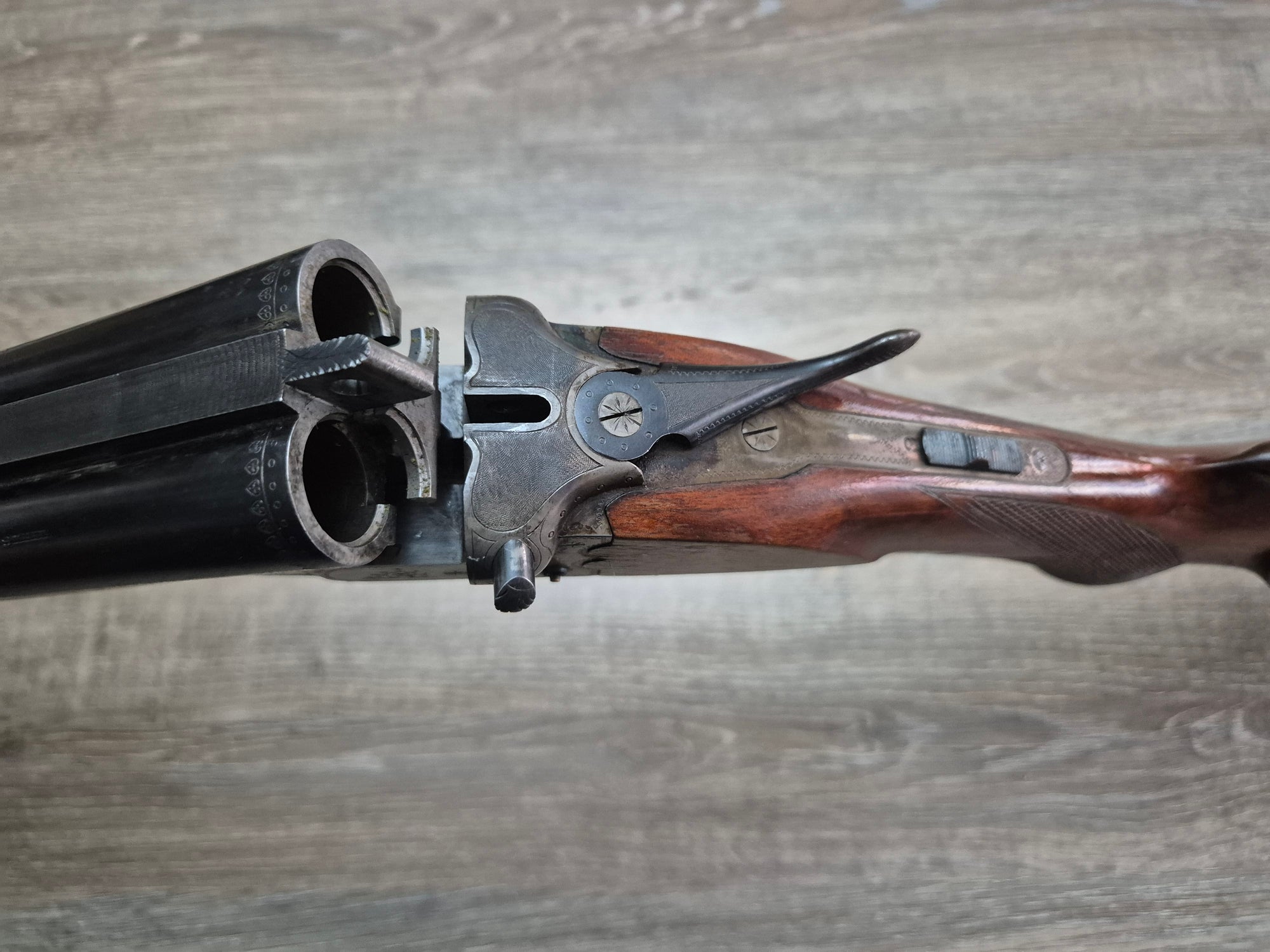 Lisa Haenel Suhl, cal 16, tevi 72cm