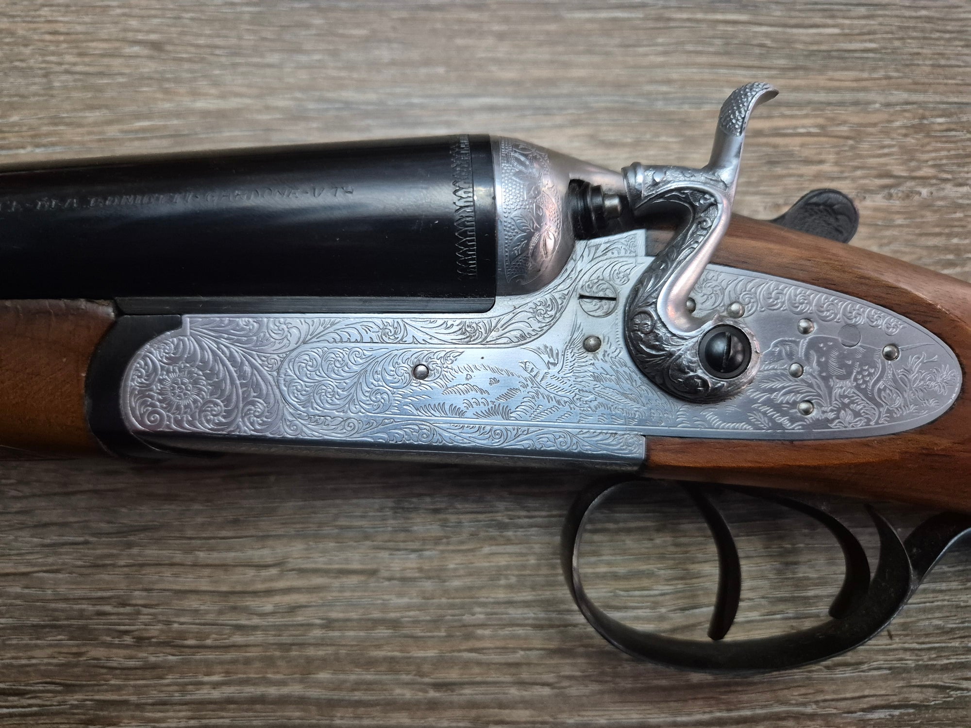 Lisa Siace, cal 12, tevi 70.5cm, cocoase exterioare