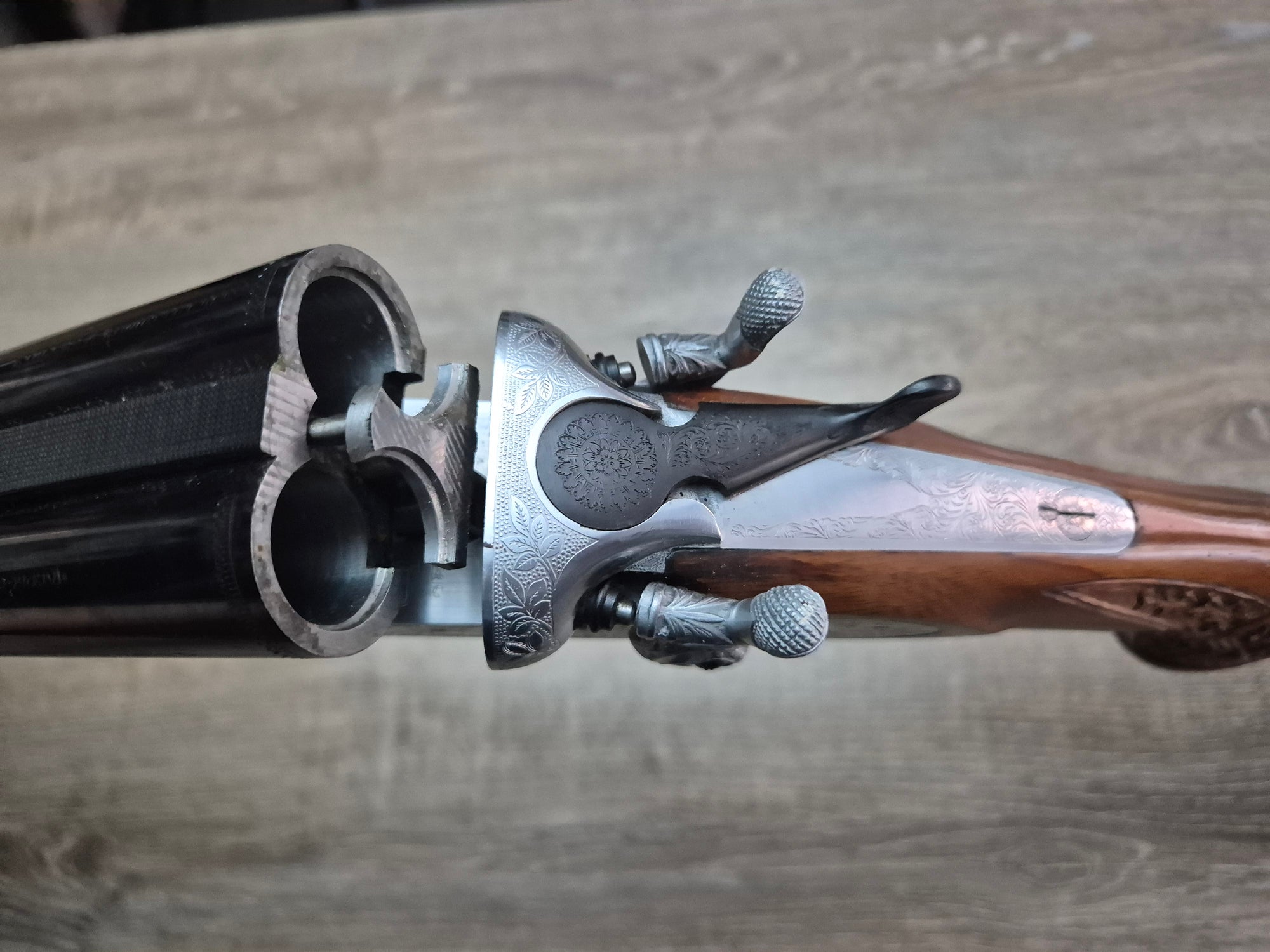 Lisa Siace, cal 12, tevi 70.5cm, cocoase exterioare