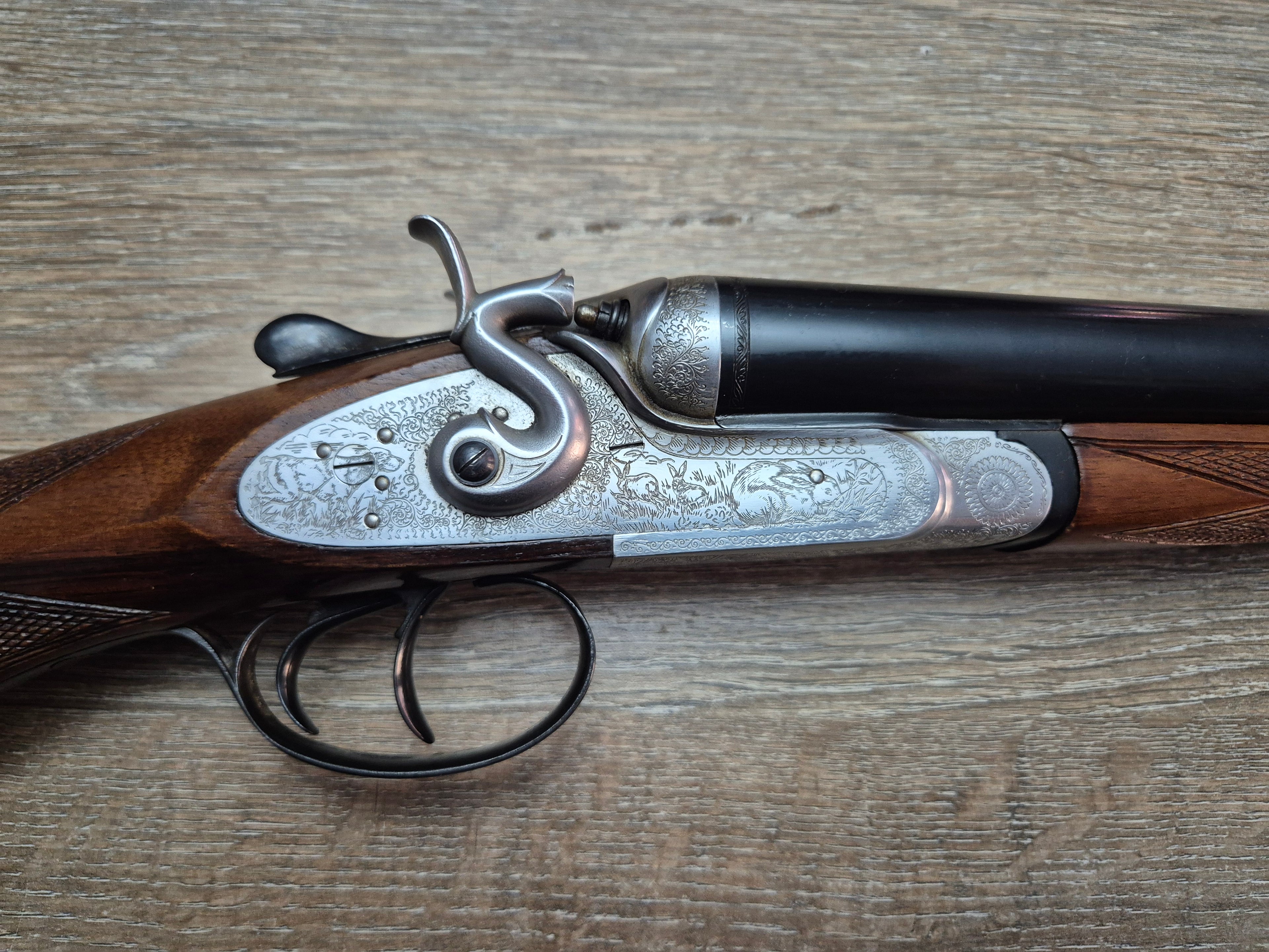 Lisa Siace, cal 12, tevi 71cm, cocoase exterioare