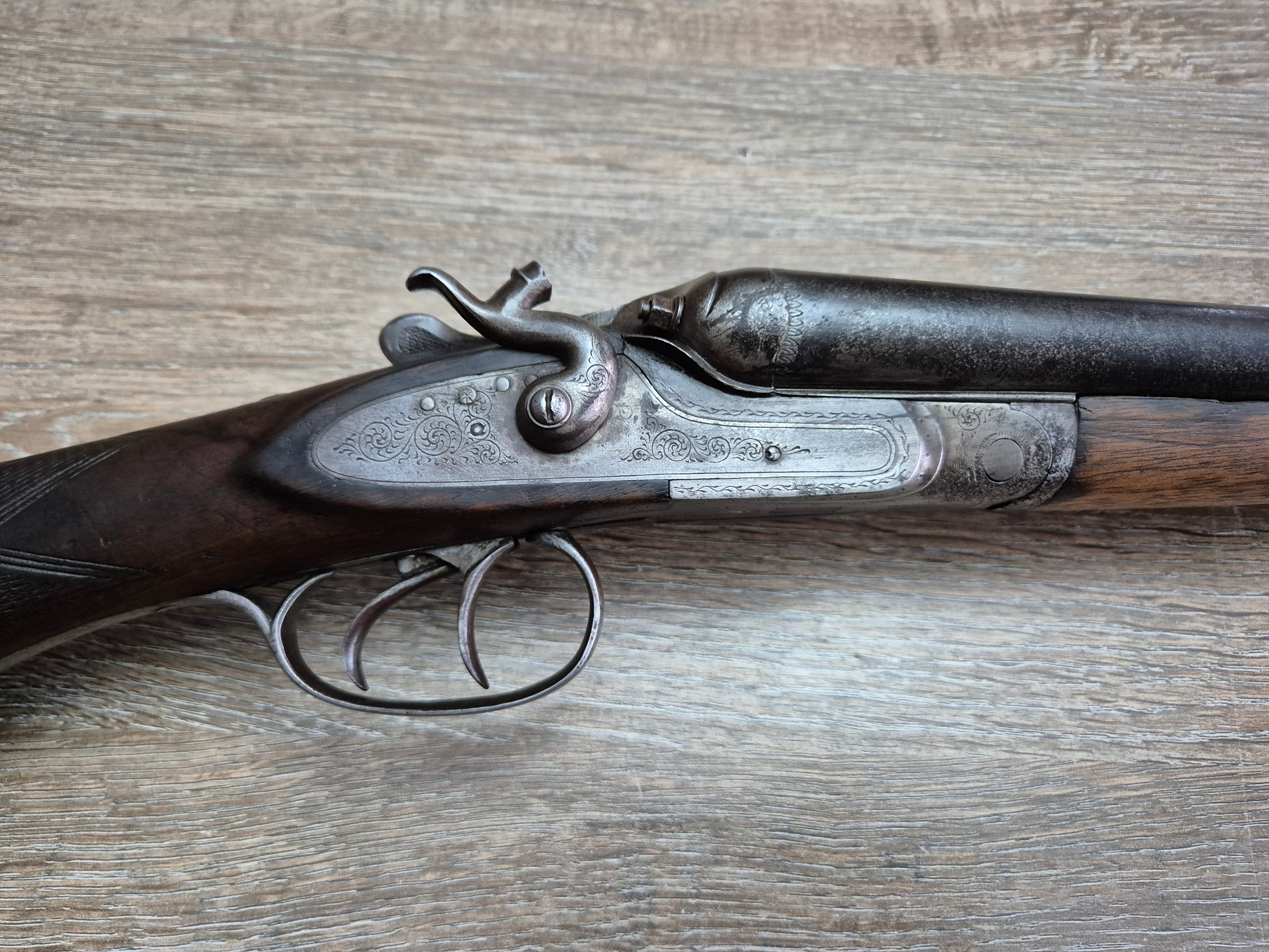 Lisa Liege, cal 16, tevi 75cm, cocoase exterioare