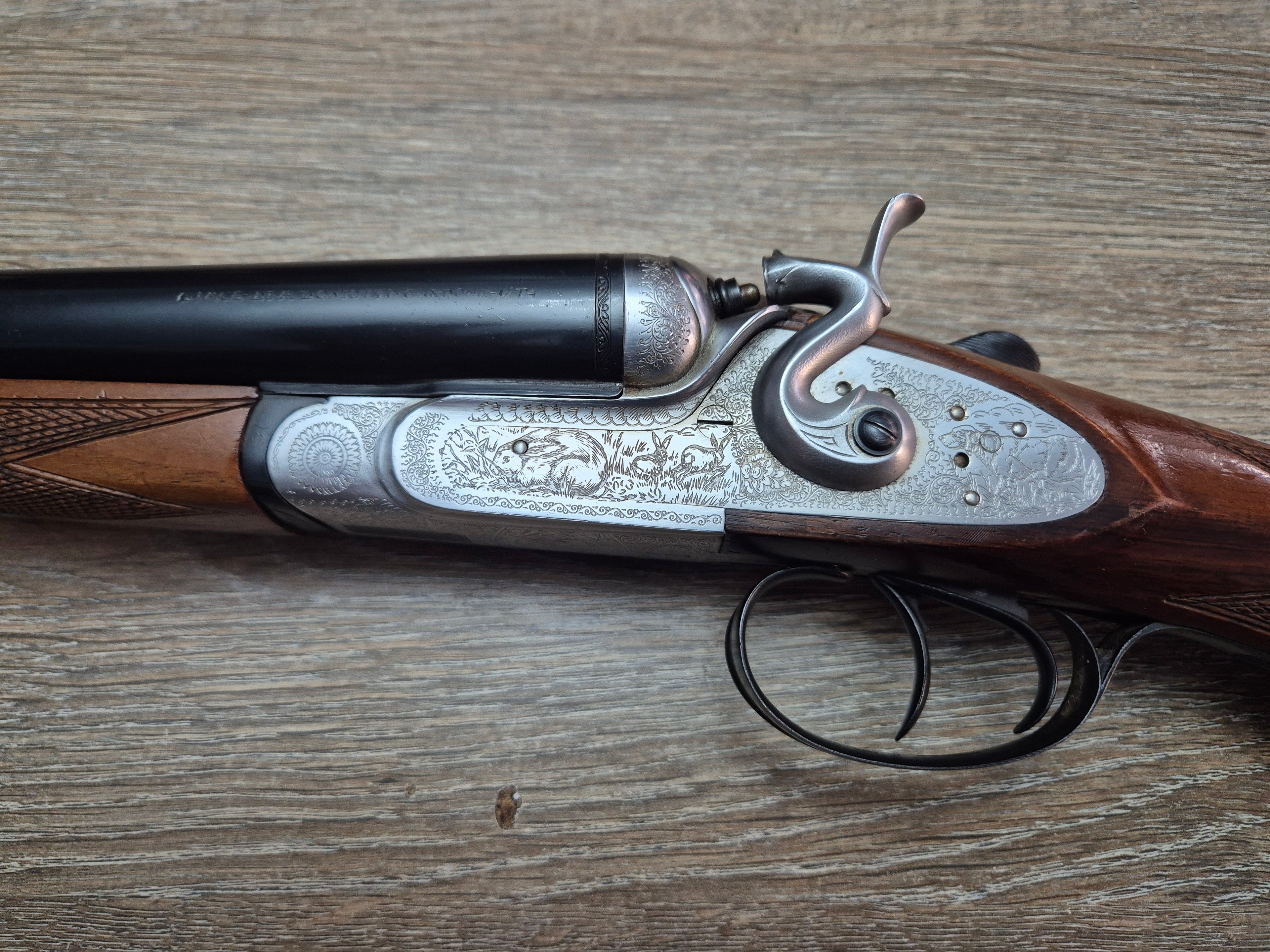 Lisa Siace, cal 12, tevi 71cm, cocoase exterioare