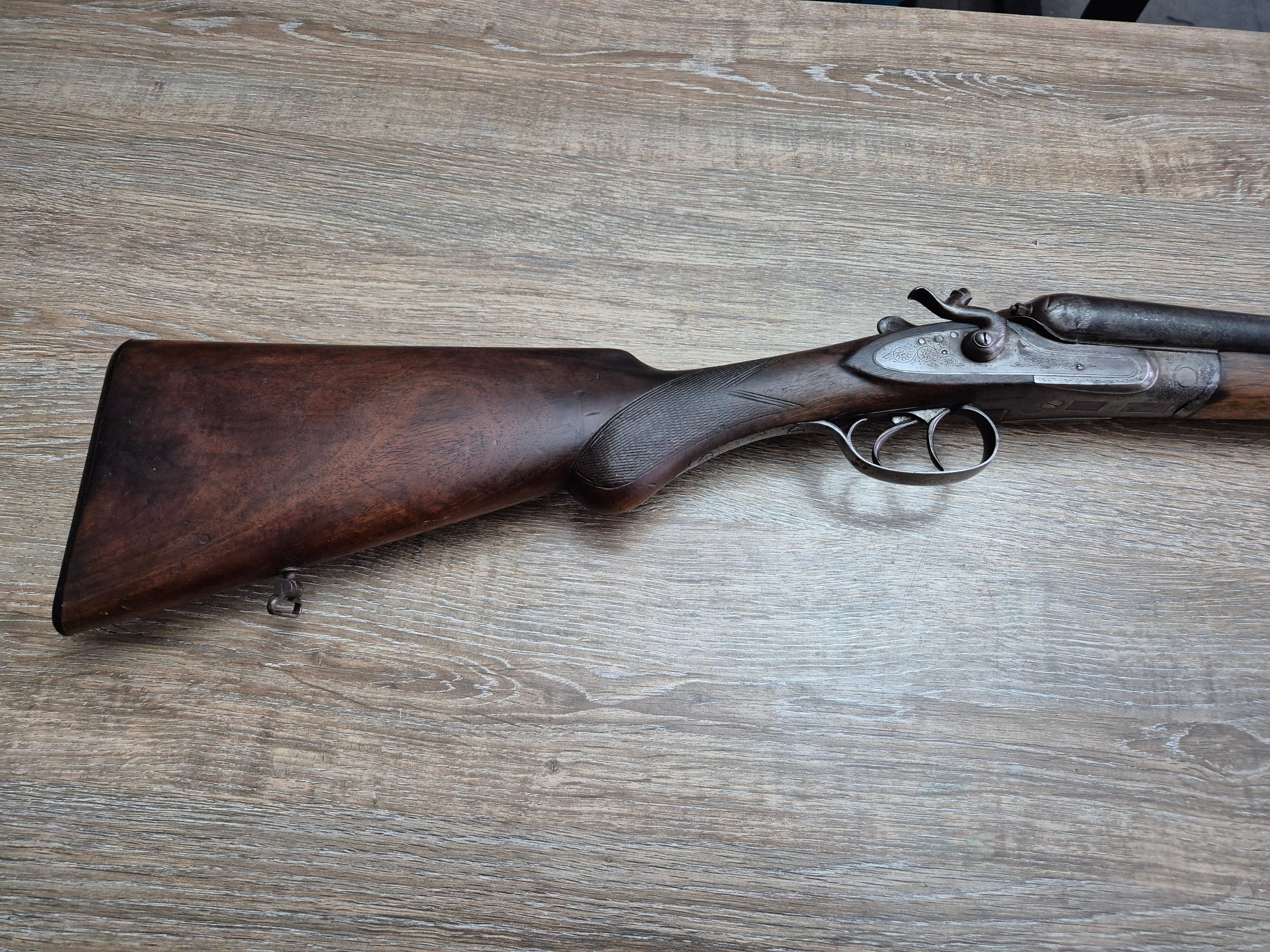 Lisa Liege, cal 16, tevi 75cm, cocoase exterioare