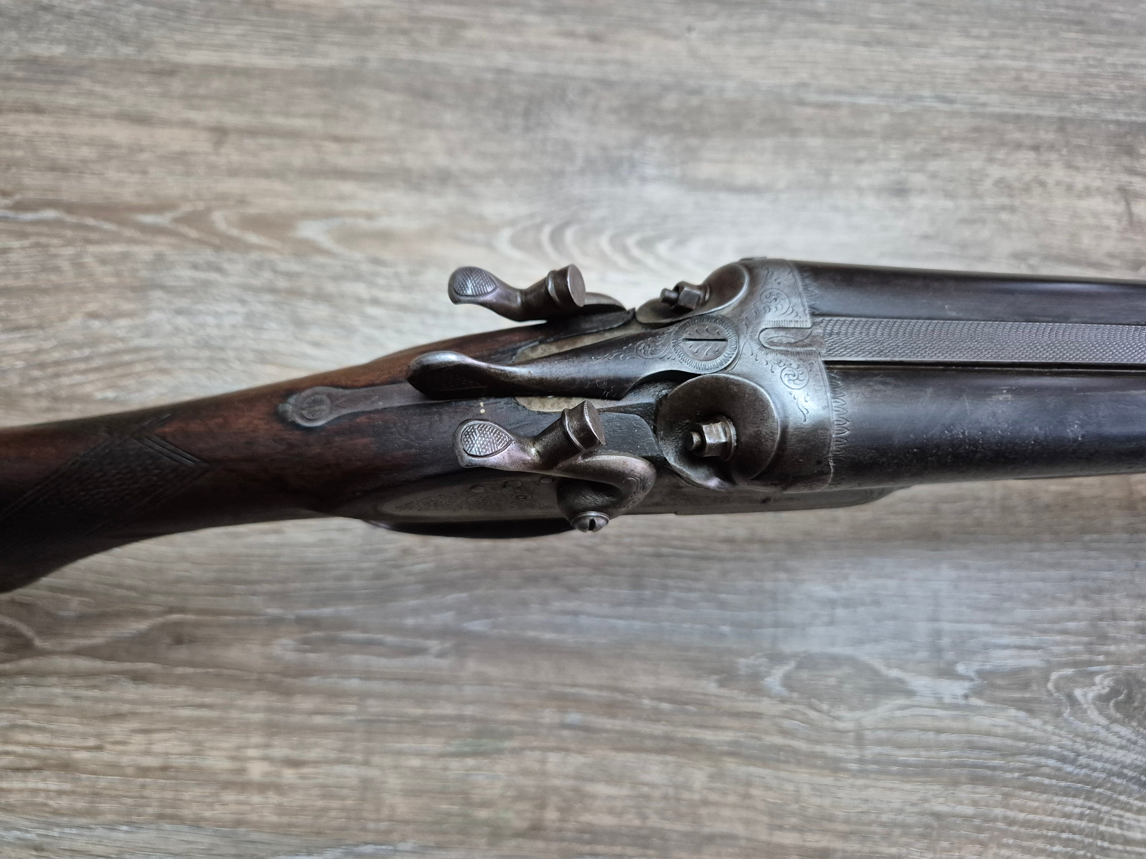 Lisa Liege, cal 16, tevi 75cm, cocoase exterioare