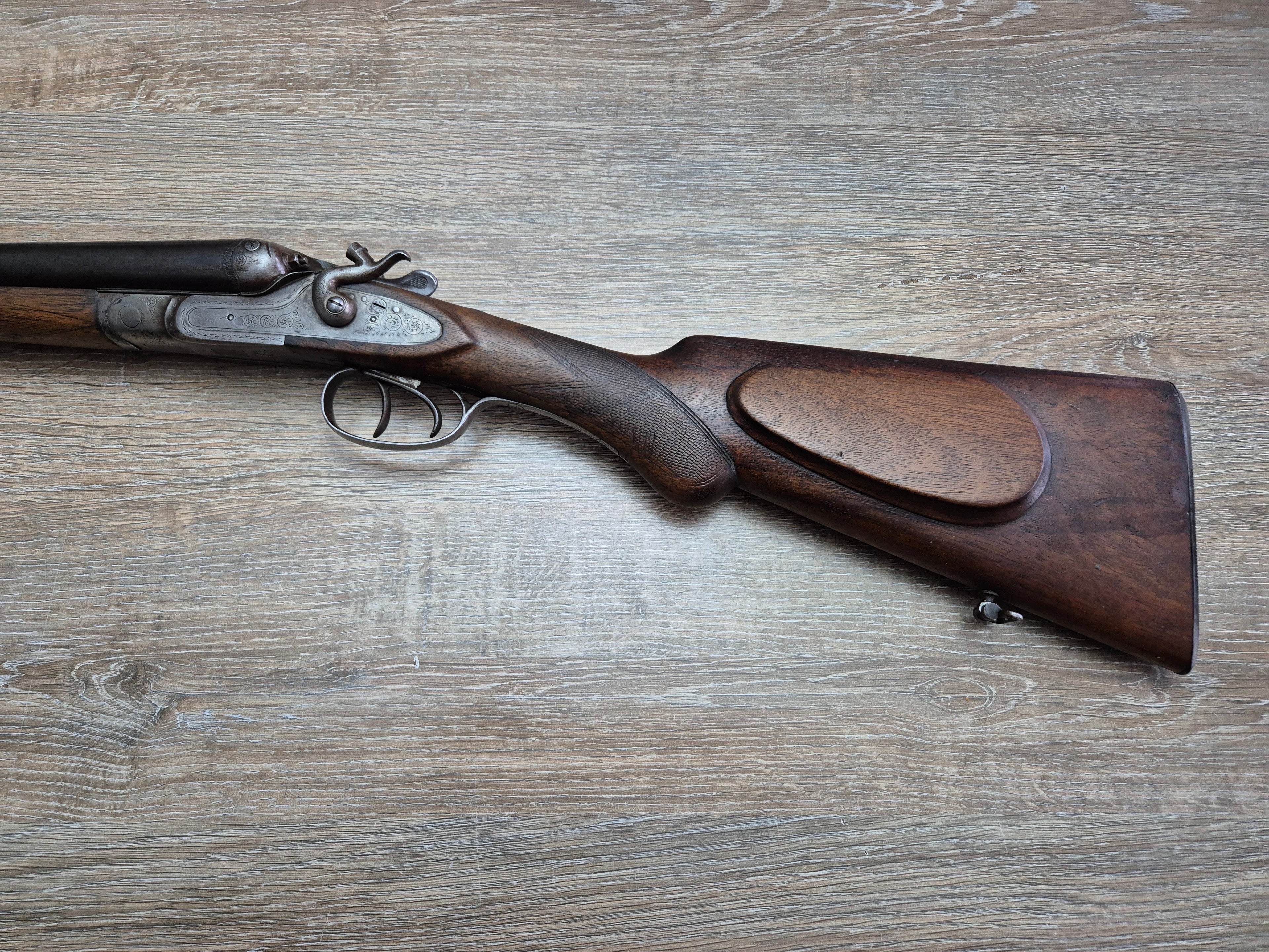 Lisa Liege, cal 16, tevi 75cm, cocoase exterioare