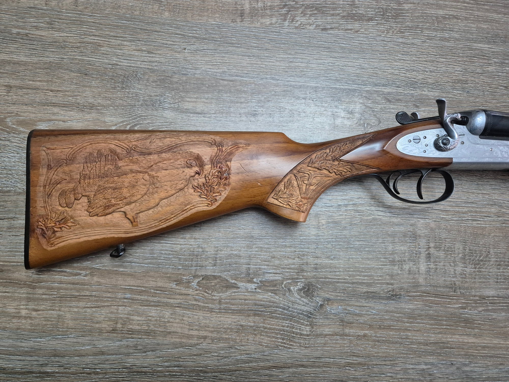 Lisa Siace, cal 12, tevi 70.5cm, cocoase exterioare