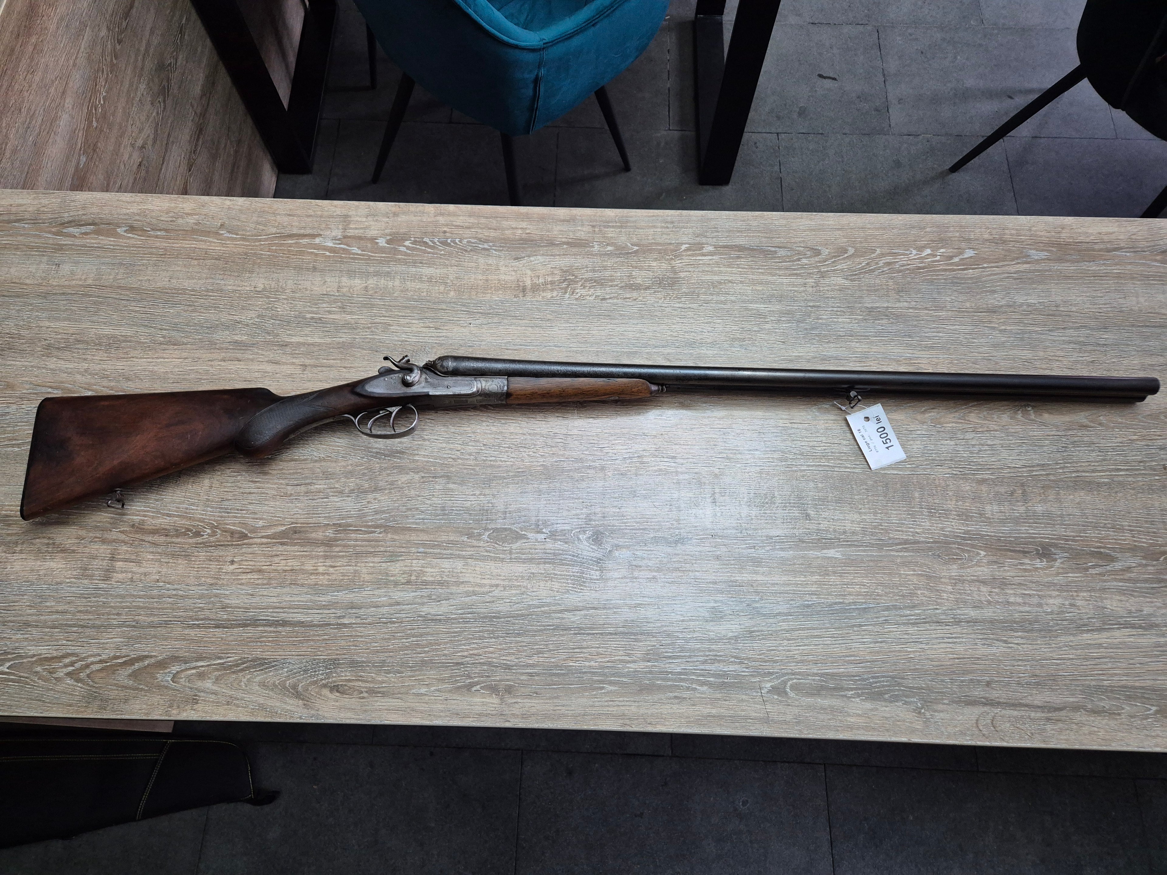 Lisa Liege, cal 16, tevi 75cm, cocoase exterioare