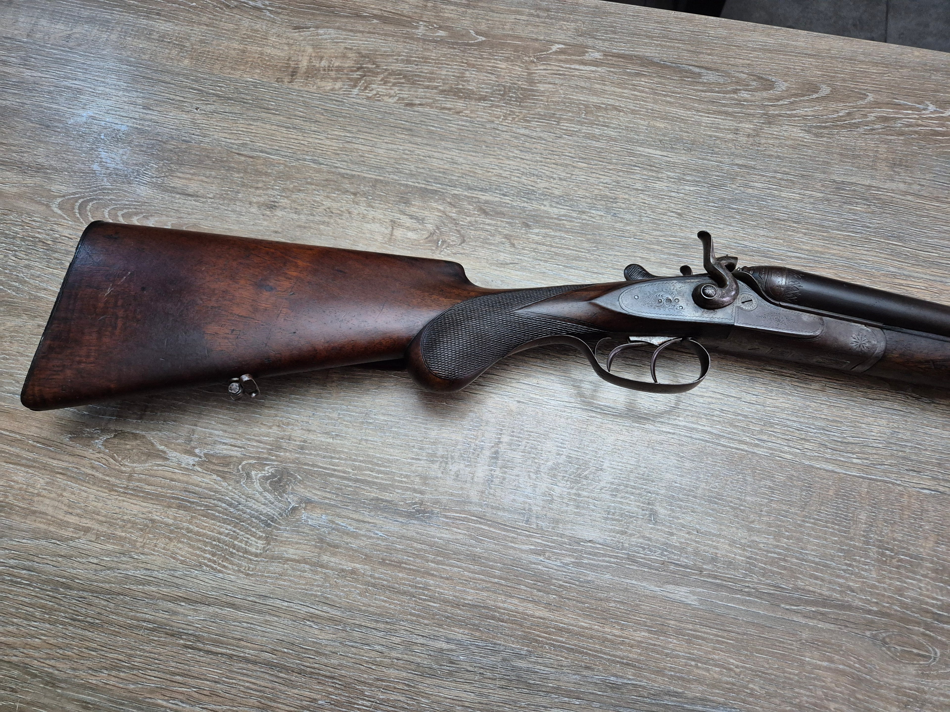 Lisa F.R. Burner, cal 16, tevi 75.5cm, cocoase exterioare